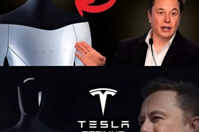 OPTIMUS UNVEILED: MUSK’S HUMANLIKE ROBOT SHOCKS THE WORLD — AND REDEFINES WHAT IT MEANS TO BE ALIVE