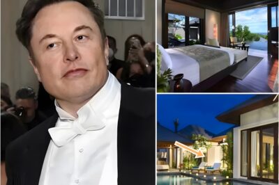From Billionaire Status to Minimalist Living Musk’s $333 Billion Fortune Contrasts With a $50K Tiny House