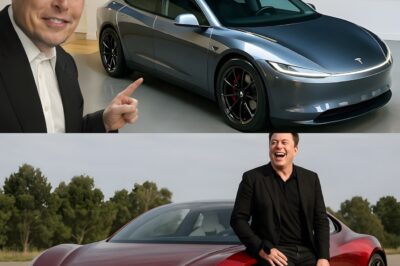 From Texas to the World, Elon Musk Unveils the 2026 Tesla Model 2 at $15,990 Sparking Frenzy Over Its Hidden Features