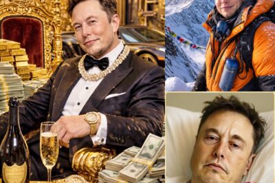 Elon Musk’s Christmas Getaway: A Mountain Retreat, Online Rumors, and the Truth Behind His Hospital Visit.