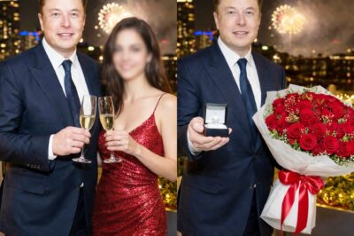 Elon Musk Is Preparing to Propose to His Mysterious Girlfriend: Who Is She and Will She Accept His 14 Children?