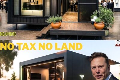 Elon Musk Confirms the 2026 Tesla Tiny House Is Finally Here and the Internet Can’t Stop Asking What Makes It So Unbelievable