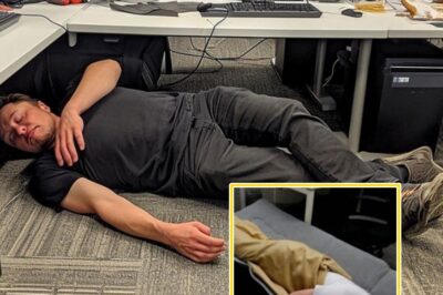 Elon Musk has $420 billion to his name—yet lives like a couch-surfing drifter.