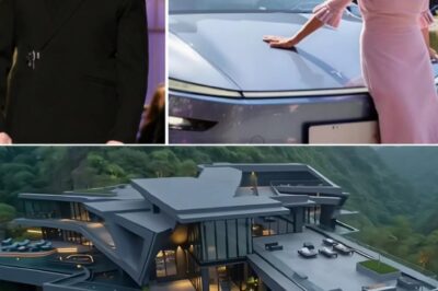 Elon Musk secretly transformed his mother Maye’s humble home into a breathtaking masterpiece.