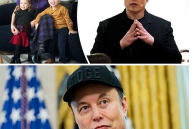 Elon Musk Drops $10M Surprise Mansion for His Mom’s 70th — Fans Call It the Ultimate Birthday Gift .