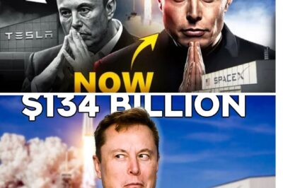 Inside Elon Musk’s Shadow Empire: Stealth Jets, $80M Space Mansions, and the AI Bunkers Driving His Global Power Play