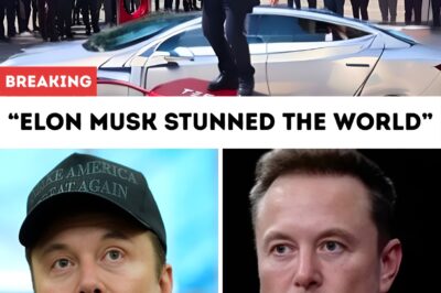Elon Musk stunned the world: The first hoverboard was officially launched — technology beyond imagination, opening a new era for humanity’s dream of flying!