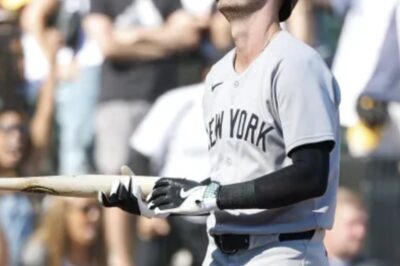 IT’S OFFICIAL! YANKEES’ OFFSEASON TAKES A DRAMATIC TURN: New York Lands $400M World Series Champion, Bellinger Era OVER!