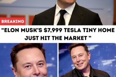 Elon Musk’s $7,999 Tesla Tiny Home Just HIT the Market — Free Land, Zero Taxes & Solar Power for Life!