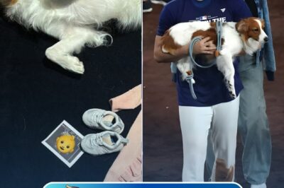 🚨 JUST IN: Ohtani and Tanaka’s Baby Name Announcement Sparks Global Excitement With Its Deep, Heartfelt Meaning ⚡