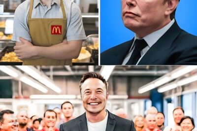 Elon Musk Finds a Former Tesla Engineer Working at McDonald’s and What He Does Next Inspires Millions Worldwide