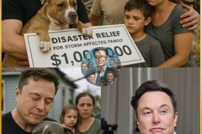 .Even while hospitalized, Elon Musk still found a way to rescue a dog named Firulais who needed urgent care, and even built a shelter for brave rescuers – A touching story that brought tears and praise to the world!