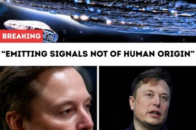 BREAKING: Elon Musk Panics as a Mysterious Fleet of Alien Ships Hovers Over Earth, Emitting Signals Not of Human Origin: “Humanity is in danger… perhaps the fossil age is about to rise again,” he warns. The world is now facing something we cannot comprehend…!!