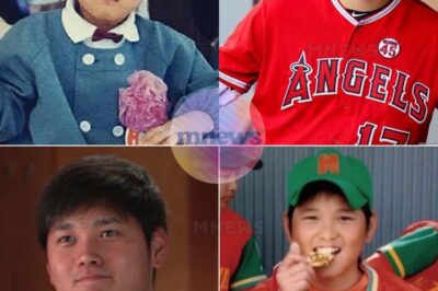 From unknown to MLB superstar: Shohei Ohtani admits for the first time what troubled him the most in the past, leaving millions of fans speechless