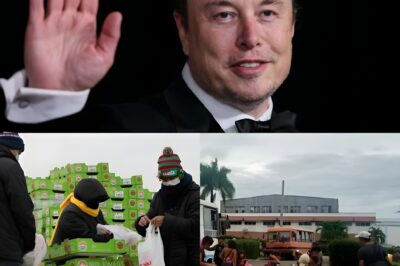 JUST IN: A $500,000 shipment from Elon Musk arrives in Jamaica, and one cryptic line included has sparked intense speculation worldwide ⚡