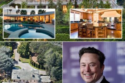 ELON MUSK’S SHOCKING “TAKEOVER” AT IMPERIAL CREST HOTEL LEAVES EVERYONE STUNNED.