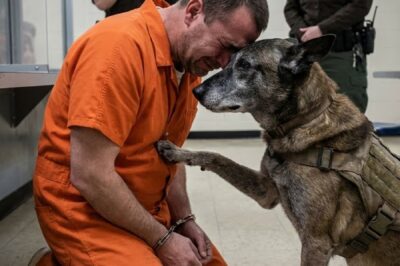 A De:.ath Row Prisoner Asked to See His Dog One Last Time — What the Dog Did Next Forced an Entire Prison to Confront the Truth