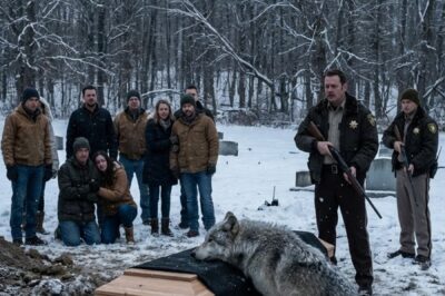 Everyone Froze When a Colossal Wolf Appeared at the Gravesite — Tactical Units Were Seconds from Firing, Until the Hidden Truth About His Past Unraveled Everything
