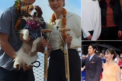 Few Know About That Fateful Moment Mamiko Tanaka Hesitated Before Shohei Ohtani’s First Invitation, And A Quiet Decision From Her Family Silently Changed Everything…