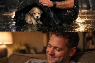 He Was Bleeding on Duty — Yet He Used His Jacket to Shield a Drenched Puppy