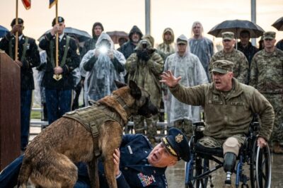 The general calmly commanded the dog to sit, expecting instant obedience. Instead, the animal lunged, shocking the crowd. Moments later, a hidden truth surfaced—one that explained the attack and left everyone present stunned into absolute silence.