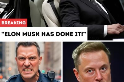 $7,995 Tesla Tiny House is Finally HERE: Elon Musk Has DONE It!