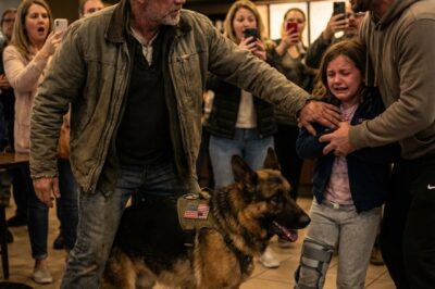 “Take Your Hand Off Her—Right Now.” – A Retired SEAL, His K9, and the Moment an Airport Café Exposed a Truth No One Could Ignore