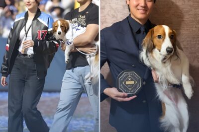 JUST IN: When a Dog Wins an MLB Honor, the Conversation Gets Uncomfortable