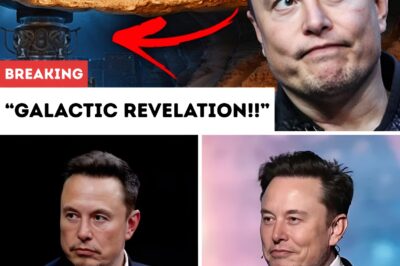 GALACTIC REVELATION!! “They weren’t tombs…” — Leaked Claims Say Musk Exposed Pyramids as Gateways to a Living Alien Civilization.