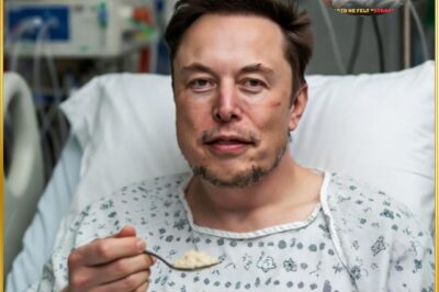 According to circulating reports, Elon Musk has eaten his first bowl of plain rice porridge after more than a day in a coma – a positive sign that has dispelled many concerns and prompted millions to offer congratulations.
