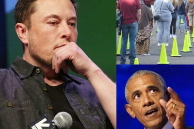 JUST IN: Elon Musk Sparks Firestorm With Claims About Immigration and U.S. Elections