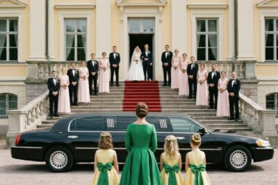 He Invited His “Poor” Ex-Wife to Humiliate Her at His Wedding—But She Arrived in a Limousine with Her Triplets…