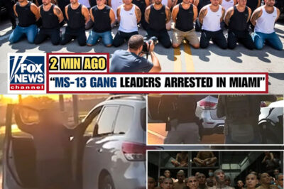 BREAKING: MS-13 Leaders Arrested in Miami Multi-City Operation — Cartel Cash Hidden