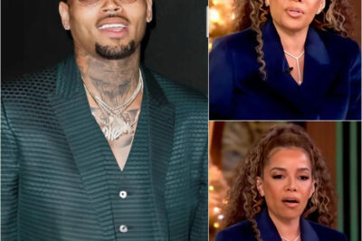 “HE’S JUST A WASHED- UP R&B CLOWN.” — The Moment Chris Brown Silenced The View