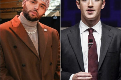 Chris Brown Shocks Hollywood Elite with Explosive Speech and Million-Dollar Pledge