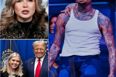 “Sit Down – You’re Just a Puppet”: Chris Brown Leaves Karoline Leavitt Speechless in a Shocking Live TV Moment