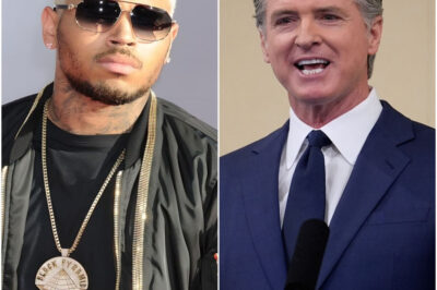 Chris Brown Sparks Political Firestorm With Explosive Claims About U.S. Election Controversy