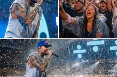 When Rain Became a Revelation: Chris Brown’s Unforgettable Night