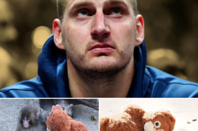 “A Viral Monkey Named Punch, A Silent MVP, And a Gesture No One Saw Coming…” — Nikola Jokić’s Quiet Gift to Punch Came With a Detail That’s Now Melting the Internet