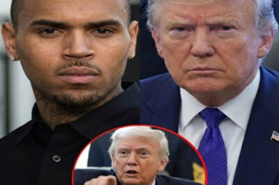 “SAY ONE MORE DUMB WORD, OLD BOY, AND I’LL EMBARRASS YOU ON NATIONAL TV”: A Stunning Showdown in the Senate