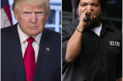 Ice Cube stunned the nation when he confronted Trump live on air during a special immigration town hall.