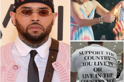 Chris Brown Declaration: “I Love This Country, But Not What They Sell on TV”