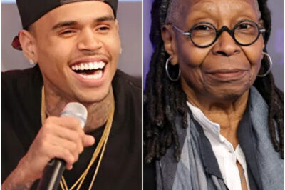 CHRIS BROWN SILENCES STUDIO AFTER WHOOPI GOLDBERG DISMISSIVE REMARK