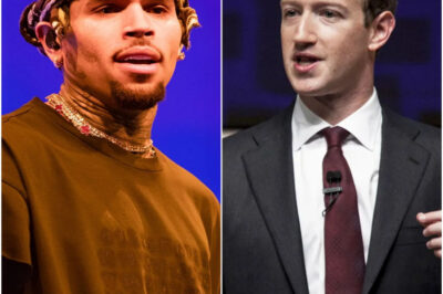 Chris Brown Shocks Hollywood Elite with Explosive Speech and Million-Dollar Pledge