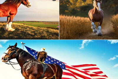 TEARS IN THE HEARTLAND! Budweiser’s ‘soul-searing’ Super Bowl ad leaves America in ‘floods of tears’ as Clydesdale foal and eagle chick grow up side-by-side – before ‘Free Bird’ solo sparks ‘breathtaking’ Pegasus moment