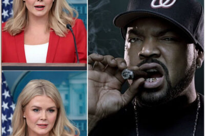 “You can’t own my voice,” Ice Cube said — calm, measured, but edged with unmistakable fire. “I speak for people who’ve been talked down to, laughed off, or told to stay quiet. That’s not values — that’s hypocrisy.”