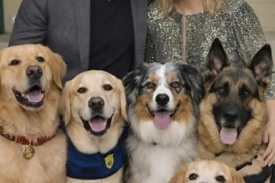 A Quiet Rescue with 72 Hours Left: With just 72 hours left on the clock, the small county shelter was preparing for the worst. Utility bills were overdue.