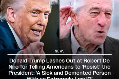 Donald Trump Lashes Out at Robert De Niro for Telling Americans to ‘Resist’ the President: ‘A Sick and Demented Person With an Extremely Low IQ’