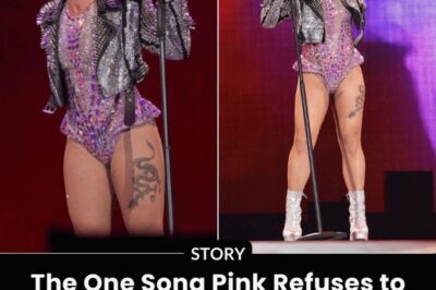 The One Song Pink Refuses to Sing After 21 Years on Tour — “Every Lyric Feels Like a Knife, and Fans Have No Idea What It Costs Me”