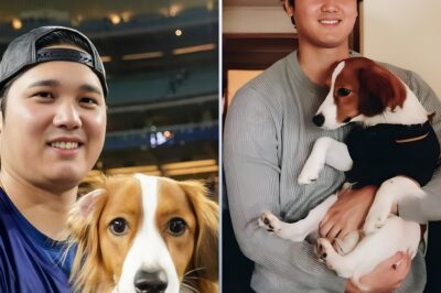BREAKING NEWS: Shohei Ohtani Didn’t Just Release a Children’s Book—He Quietly Changed His Public Narrative